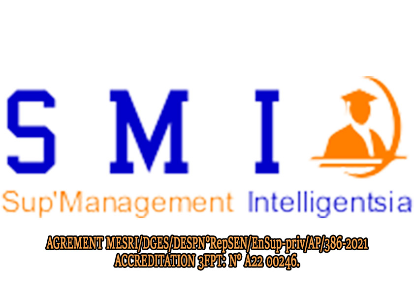 Logo de l’école partenaire Smi